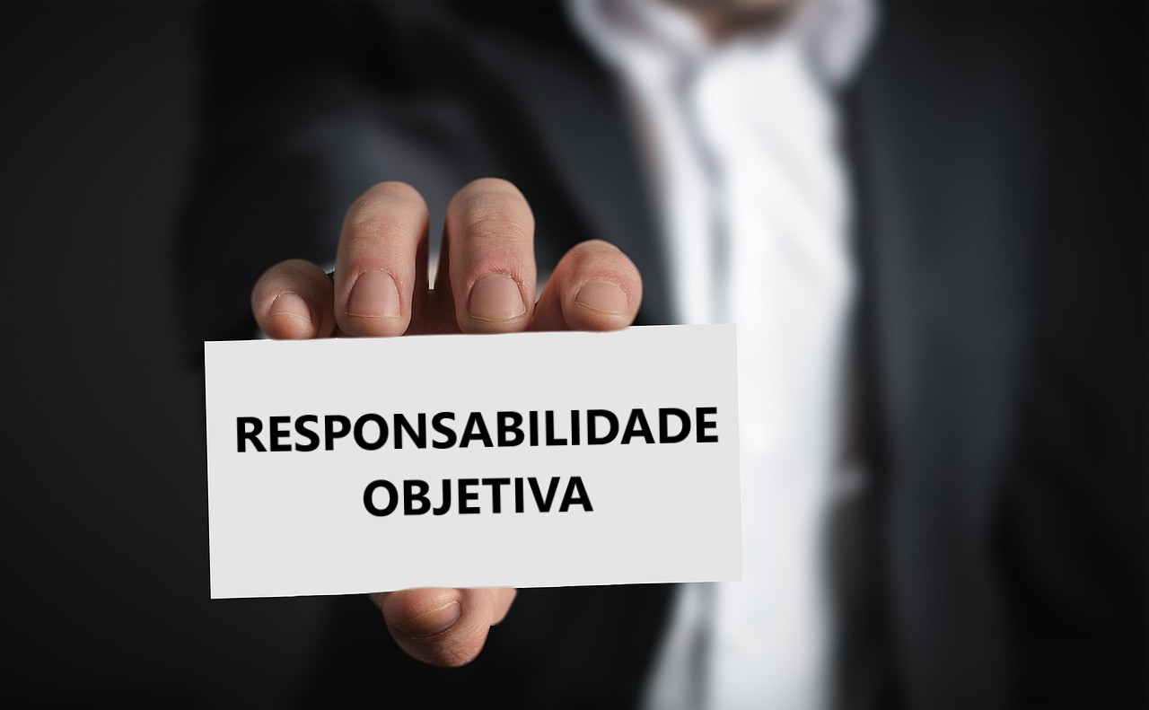 Responsabilidade objetiva da pessoa jurídica: Saiba como os Programas de Compliance dão respaldo a empresa e a alta diretoria.